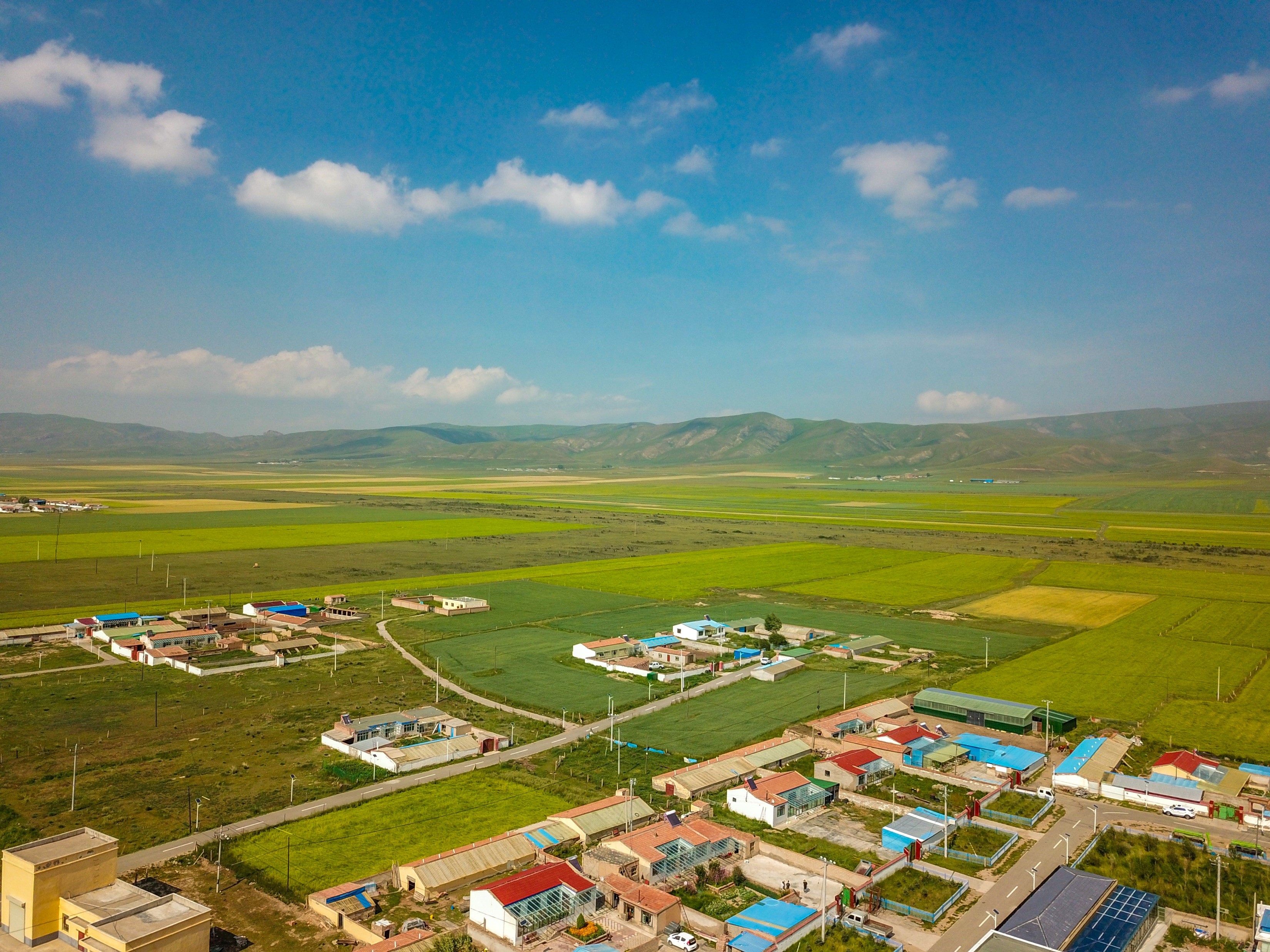 Tibetan Plateau Landscape 1