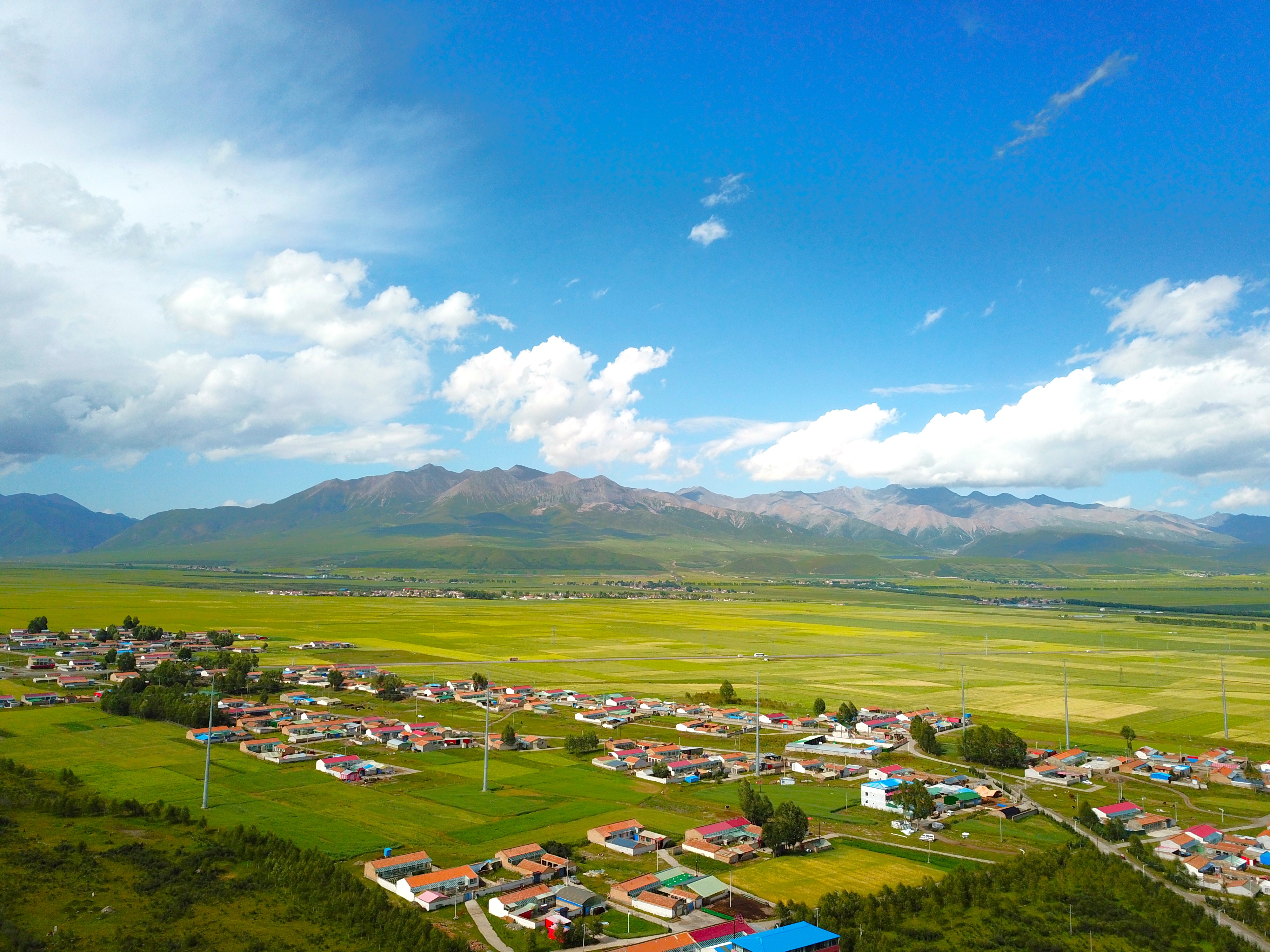 Tibetan Plateau Landscape 3